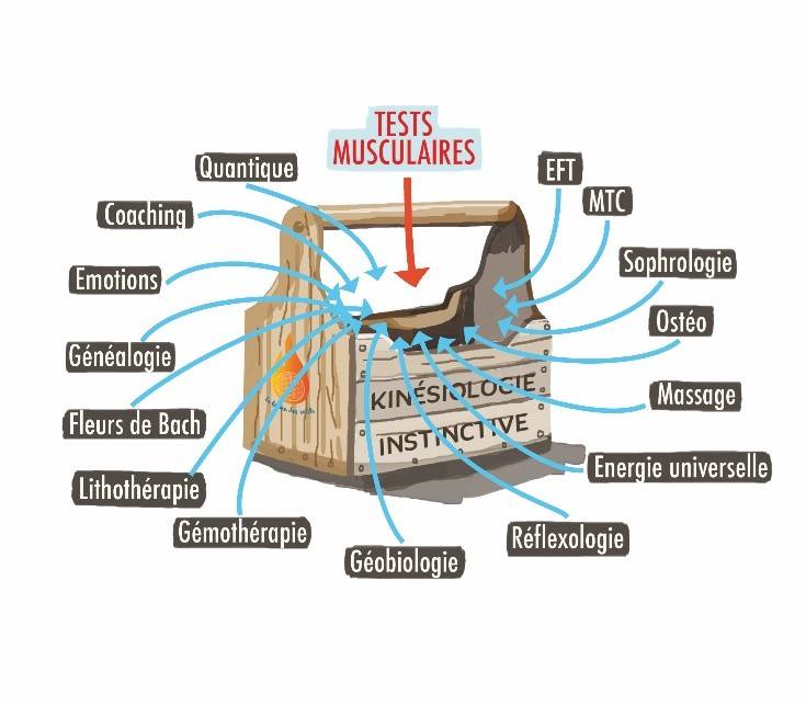 boite à outil kinesiologue